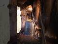Har Har Mahadev #ytshorts #shorts #harharmahadev