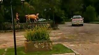 Pacion de gavilanes C-21 parte 4/5