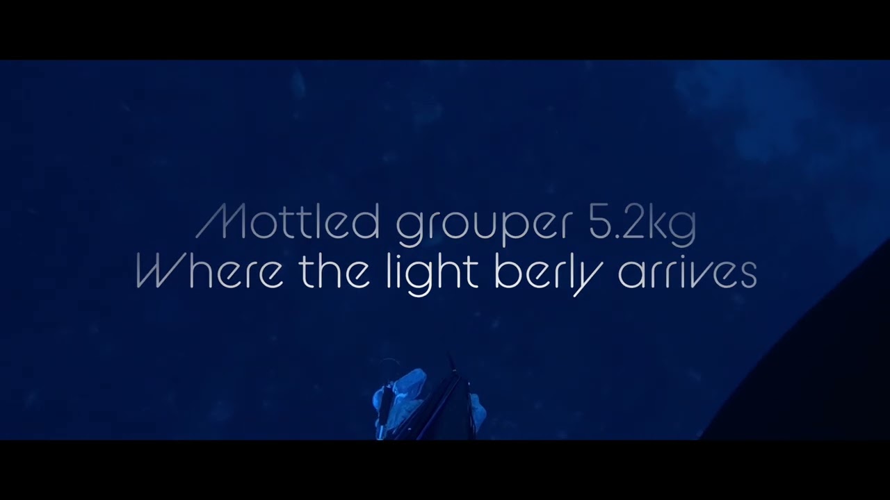 Amberjacks & Groupers – October Spearfishing in Malta | Roderick Cutajar