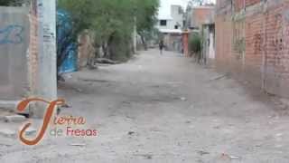 Tierra de Fresas- Comunidad Paso Blanco, Irapuato, Guanajuato.