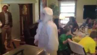 The Easter Style Harlem Shake