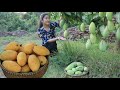 Countryside Life TV: How to make mango ripen naturally / Pick mango from mango farm