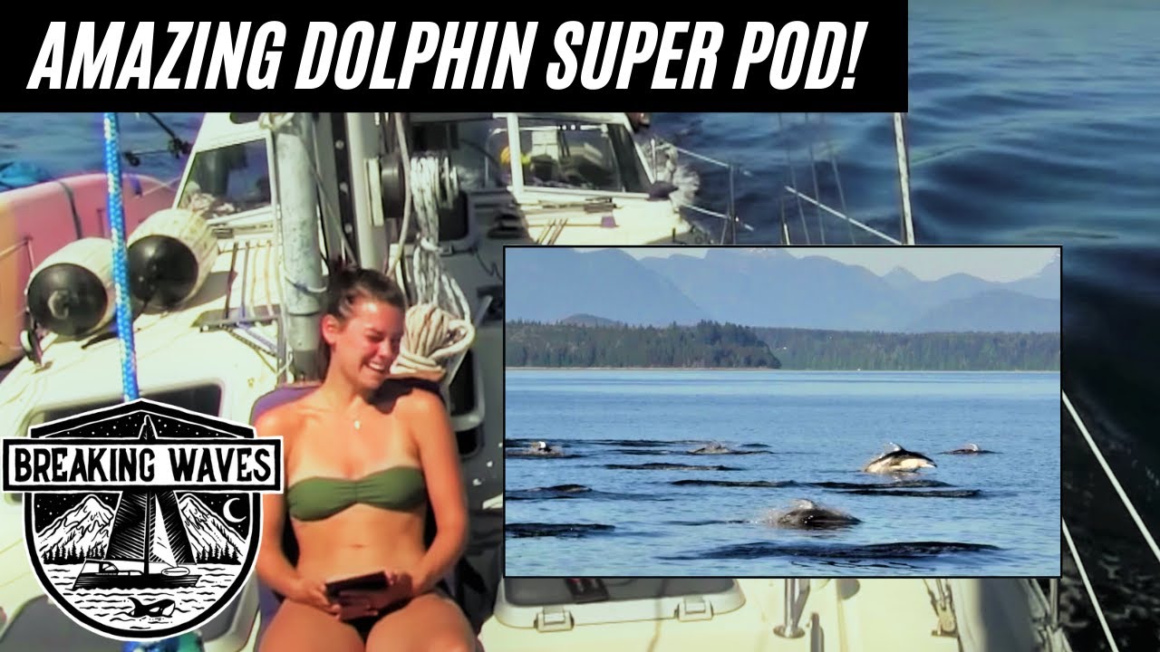BROUGHT TO TEARS - Incredible Marine Life Encounters in BC - S2.Ep34