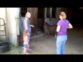 Foal cries, mom comes running.