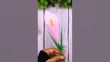 DIY Paper Calla Lily Blooms 🌼 Turn Simple Paper into Elegant Flowers #handmade #papercraft #shorts
