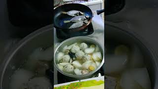 Sup Ayam Lobak Putih  shorts
