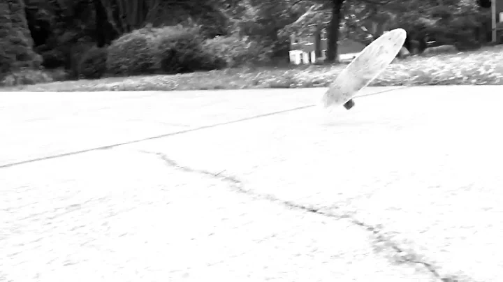 Skatebored landed