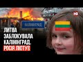 Литва заблокувала Калінінград. Росія лютує – Денис Кишиневський, журналіст
