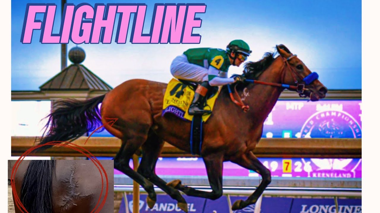 FLIGHTLINE el mejor caballo de carreras del mundo en la actualidad 🏇🏆