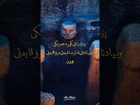 مێژووی نەبیستراوی کورد    