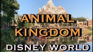Disney Animal Kingdom Park Tour Orlando Florida!