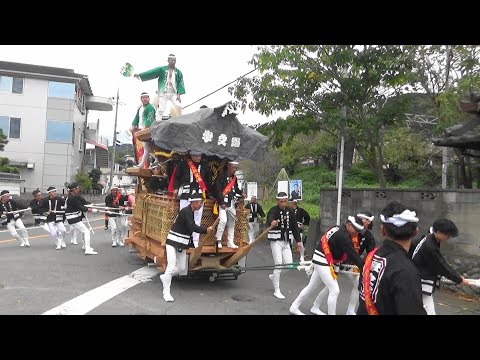 橋本市 学文路のだんじり 学文路八幡宮地車祭り 2025.10.25.