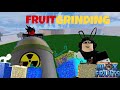 Fruit Grinding [Blox Fruits]