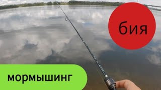 Рыбалка на мормышку в реке Бия