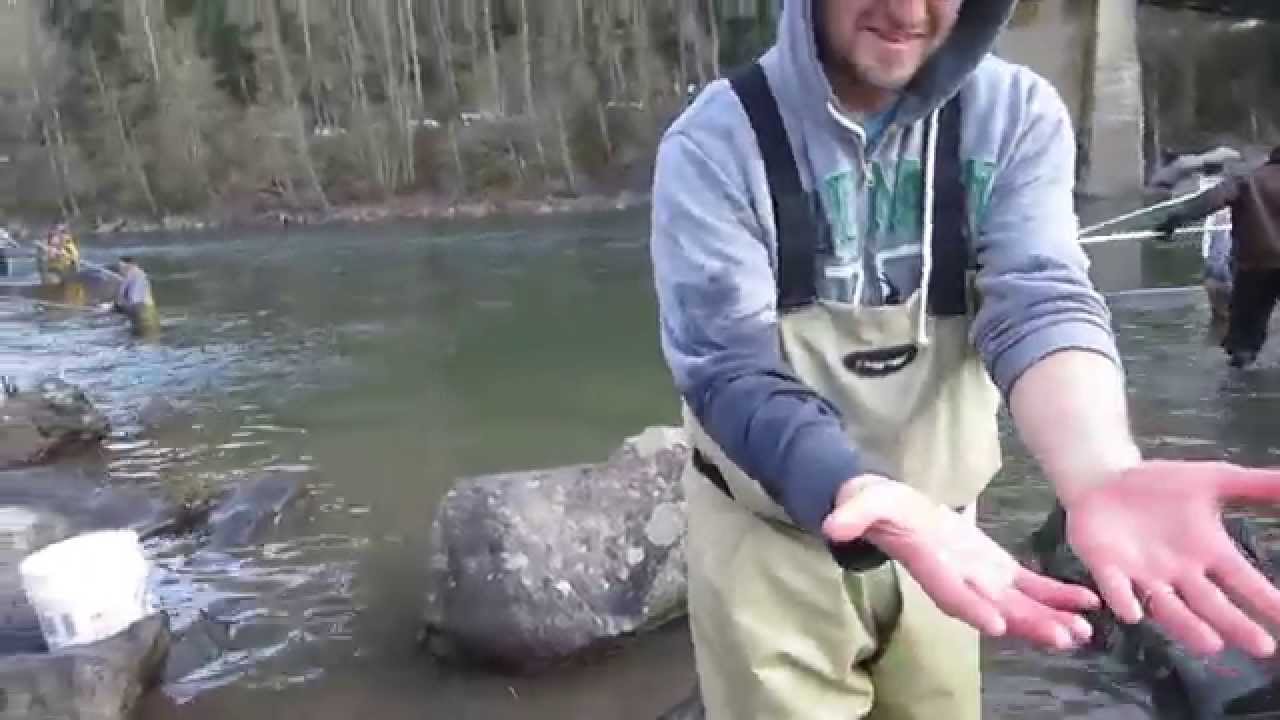 Dipping for smelt on Sandy River 