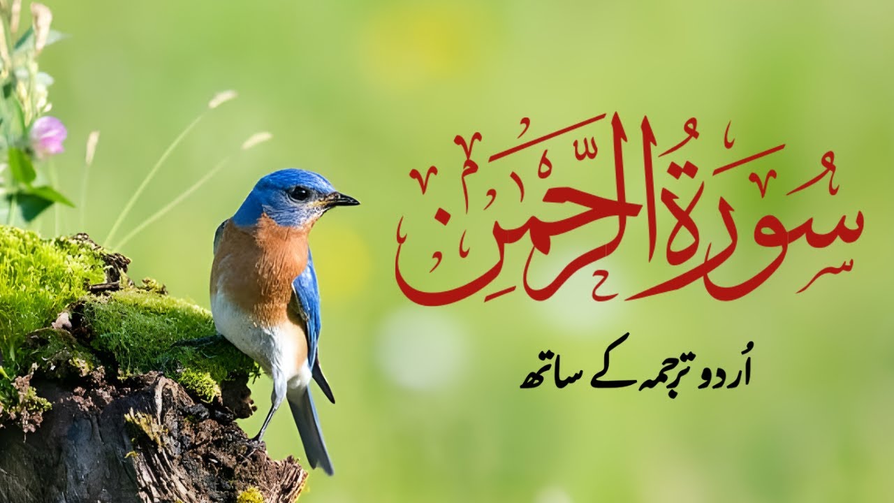 Surah Rahman Urdu Tarjuma Ke Sath | Surah Rahman with Urdu Translation | Alfurqan Studio