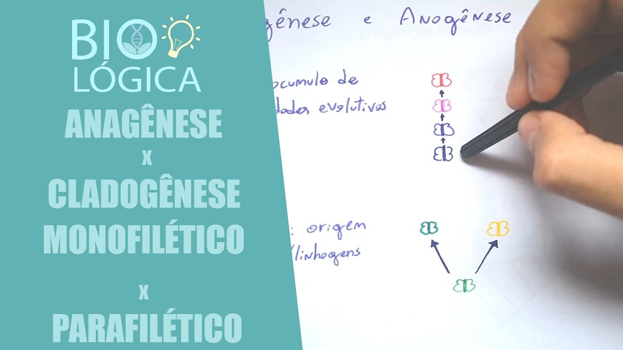 BIO LÓGICA! ANAGÊNESE x CLADOGÊNESE - MONOFILÉTICO x PARAFILÉTICO