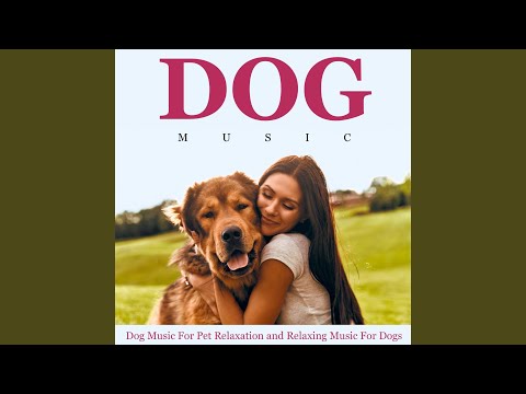 through a dog's ear youtube