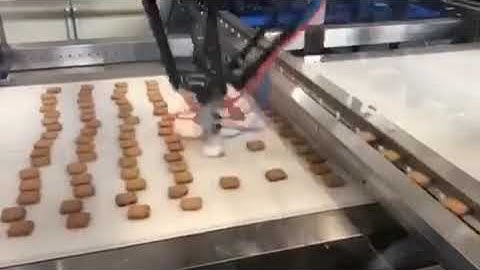 High speed spider robot hand cookie biscuit sorting feeding system
