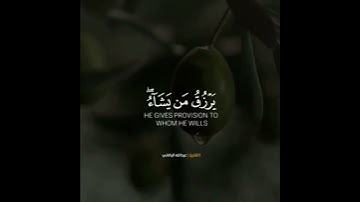 تلاوة هادئة🌿القارئ عبدالله البالاني🌿 #حالات #اكسبلور #explore #فولو #القرآن_الكريم #تلاوة