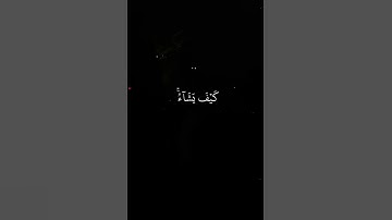 سوره آل عمران 🤍🌷/اكتب شي تؤجر عليه 🤍🤍 #لايك