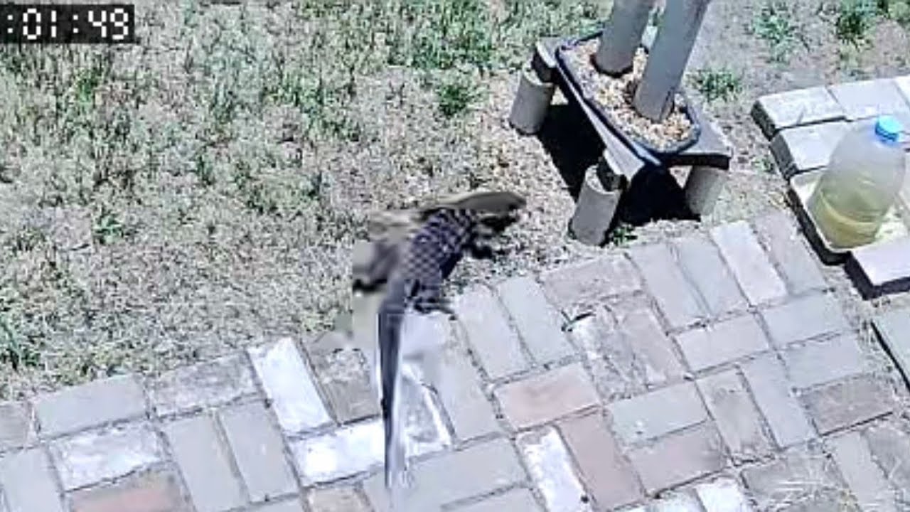 NAZARÉ PAULISTA, CÂMERAS 