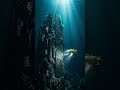 เราสำรวจมหาสมุทรไปแค่ 5% อีก 95% คืออะไร? Ocean exploration chart