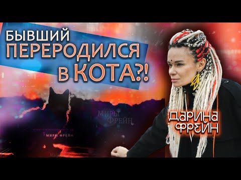 Есть ли у животных душа? Кто крадет тела? Почему ходят деревья?