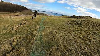 Long Netting with Meg & Charlie by Martin Webber Countryman 376 views 1 year ago 1 minute, 5 seconds