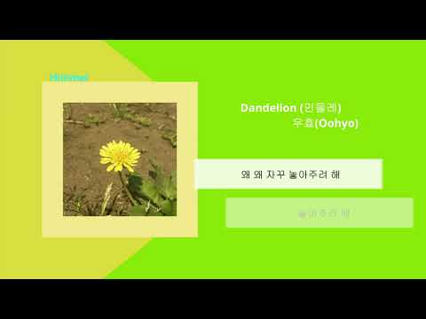 우효(Oohyo) - 민들레(Dandelion) full ver./ 가사