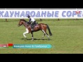 CCI3* Международка ( Полевые испытания) 03.06.2017