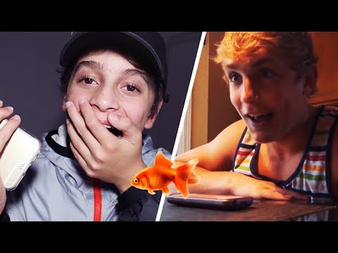 my-fish-is-drowning?!-(jake-&-logan-paul-prank-call-challenge)