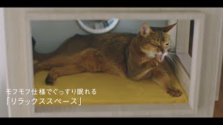 猫専⽤のタワーマンション!?プロが本気で考えたこだわりの全貌を紹介！　　三菱地所レジデンス「#猫タワマン」WEB動画