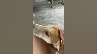Apa kabarmu kesayangan. lama tdk online. tapi kalian ttap yg dirindukan.