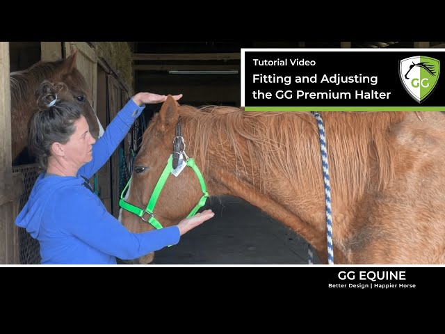 Fitting Your Horse with a GG Equine Premium Breakaway Halter (2023