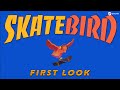 Skatebird  first look