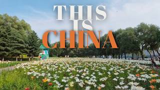 Come spend the day with us in Shenyang, China