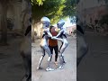 Levaram minha mãe! #funny #comedy #humor