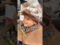 6歳の男の子にツイストパーマ当ててみたら…#メンズパーマ#short#神戸の坊主美容師 #カウンセリング#カウンセリング動画#イメチェン#イメチェン動画#やりらふぃー