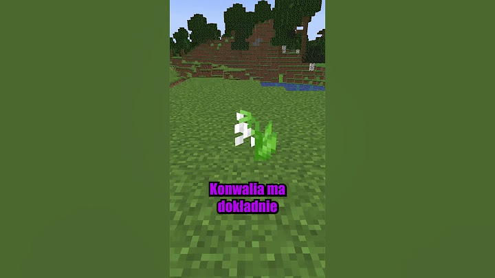 5 RZECZY KTÓRYCH NIE WIEDZIAŁEŚ o MINECRAFT 4