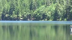 Applegate Lake, Jackson County, Oregon. Near Grants Pass, Or