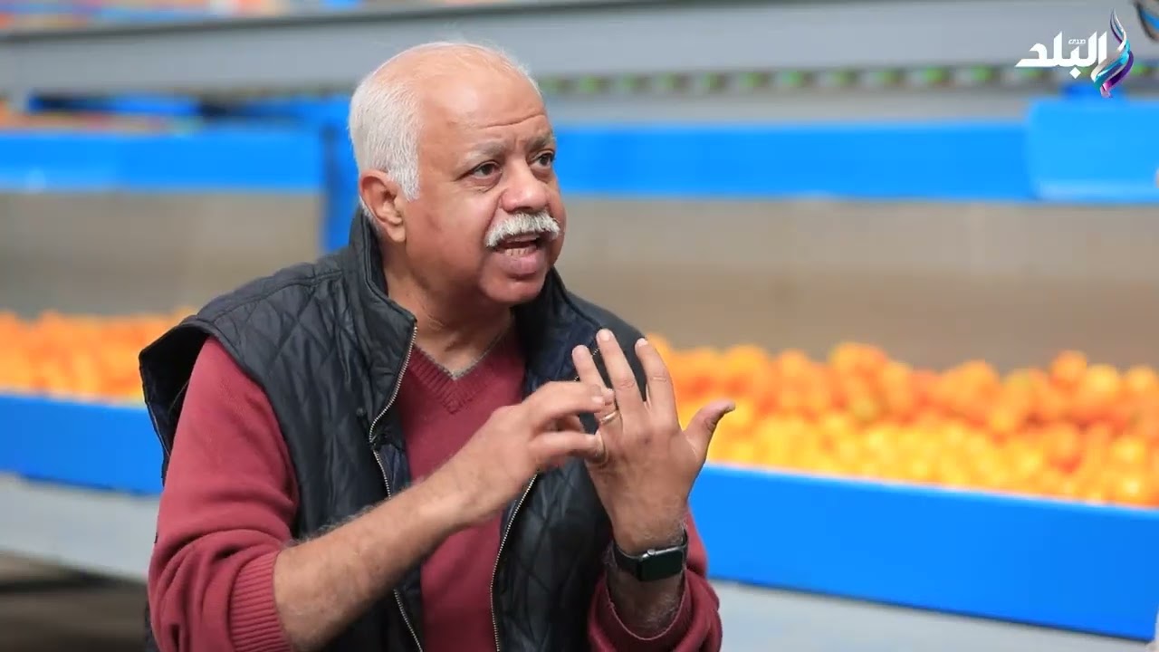 صادرات مصر الزراعية تغزو العالم.. ارتفاع الصادرات لـ 7.2 مليون طن بقيمة 5.1 مليار دولار