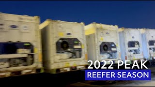Crowley's 2022 Reefer Season a Success (short)