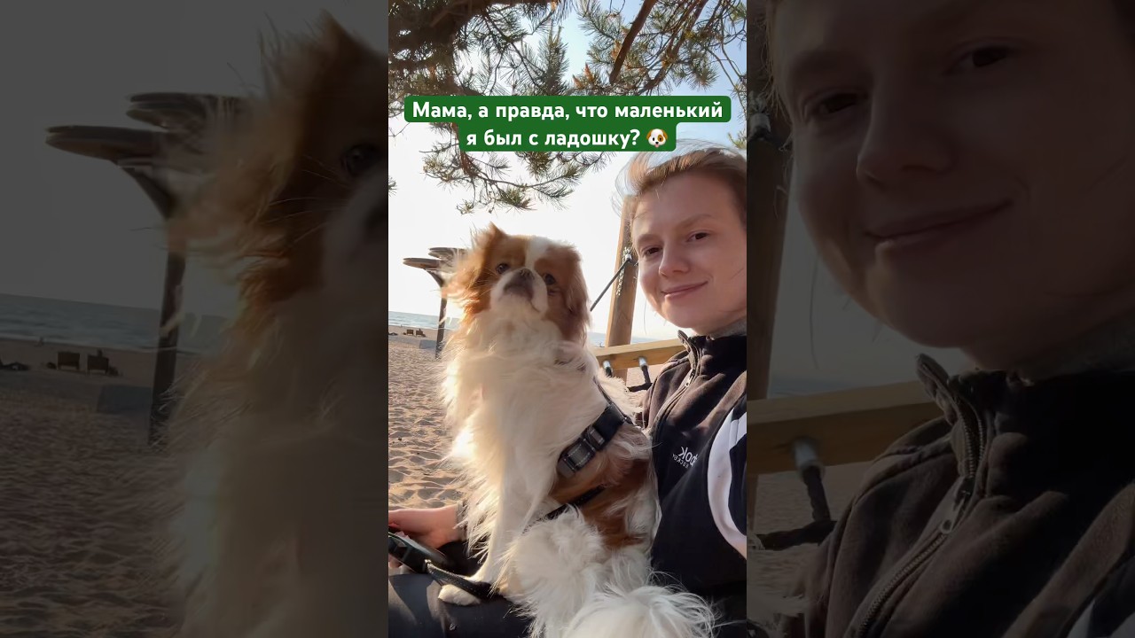 Правда 🐶❤️ 