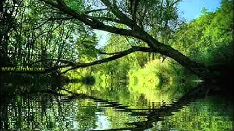 سورة الدخان برواية السوسي للشيخ حسن صالح hassan saleh