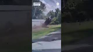 Famous Baby ejected from vehicle during Arkansas police chase crash Net Worth