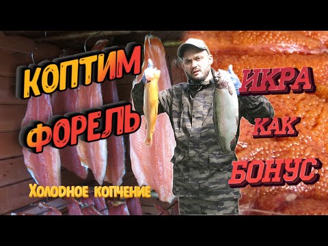 Солим и коптим красную рыбу (форель). Холодное копчение. РЫБА С ИКРОЙ, как засолить красную икру?