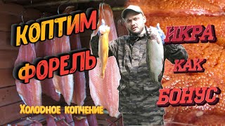 видео: Солим и коптим красную рыбу (форель). Холодное копчение. РЫБА С ИКРОЙ, как засолить красную икру? картинка: Солим и коптим красную рыбу (форель). Холодное копчение. РЫБА С ИКРОЙ, как засолить красную икру?