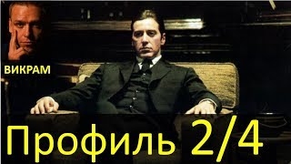 Профиль 2/4 - Дизайн Человека - Викрам