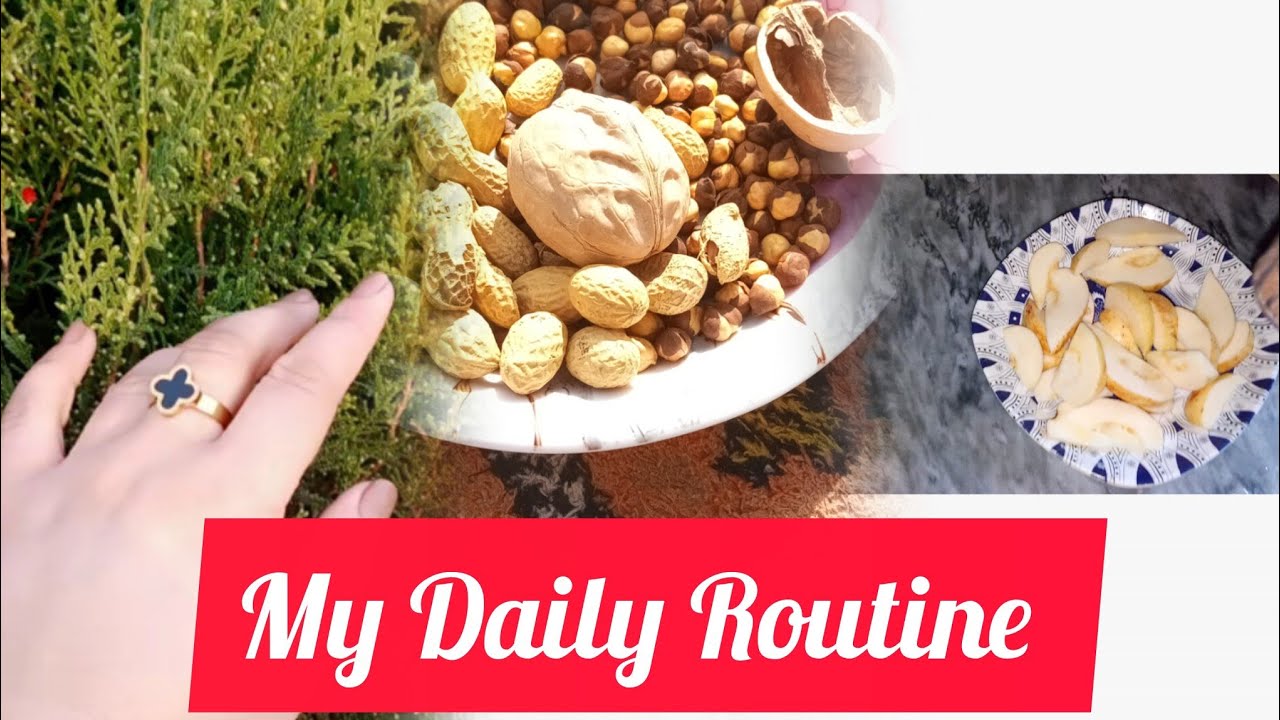 Daily Life With Simple Si Zindagi ||| Pakistani Daily Routine Vlog